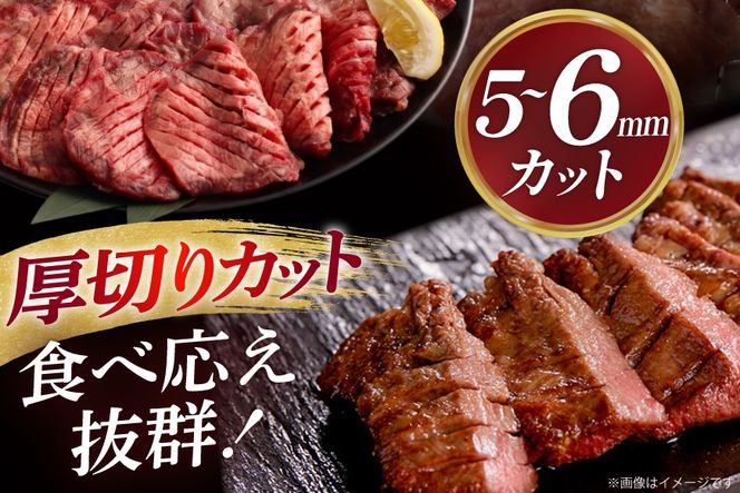 定期便 10回 牛タン 牛肉 お肉の宮城県堪能セット 厚切り牛タン 塩味・仙台牛 切り落とし 各 400g [佐藤精肉店 宮城県 気仙沼市 20566222] 肉 精肉 牛たん 牛タン塩 牛たん塩 冷凍 焼肉 牛タン BBQ 牛 切り落とし アウトドア バーベキュー 厚切り タン 牛たん