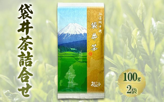 袋井茶詰合せ 100g2袋 煎茶 ギフト 贈り物 銘茶 人気 厳選 おすすめ 袋井市 静岡　 飲料類 お茶 緑茶 静岡県産 セット
