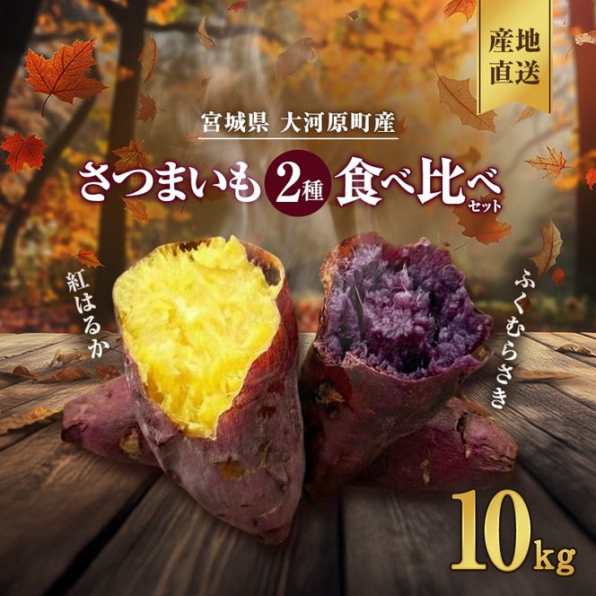 さつまいも 約10kg 2種詰合せ 紅はるか ふくむらさき サツマイモ 宮城県産 甘い 秋 冬 スイーツ 産地直送 宮城県 大河原町