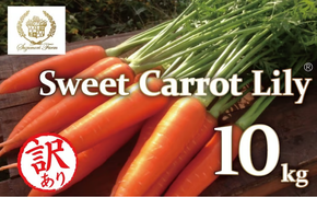 メディア出演多数！！ 【期間限定】（訳あり）鈴盛農園の甘～いにんじん 『スウィートキャロットリリィ』 10kg 人参 甘い ご家庭用 ジュース サラダ スムージー ジューシー 安心 H022-020