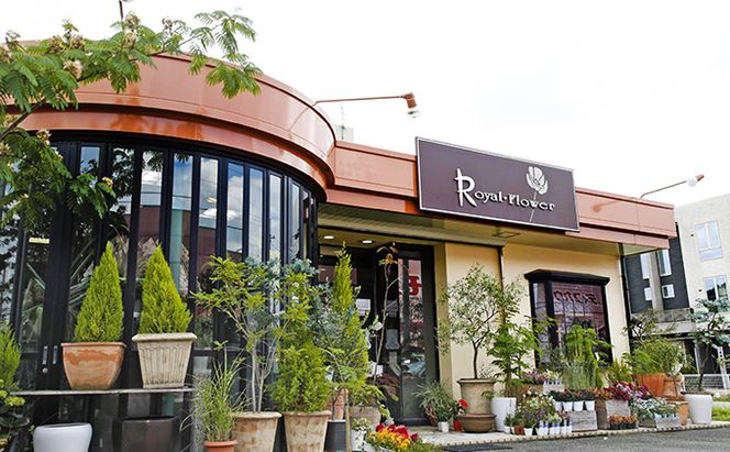 くまさんのプリザーブドフラワーギフト プレゼント お祝い 花 苗木 はな なえぎ 