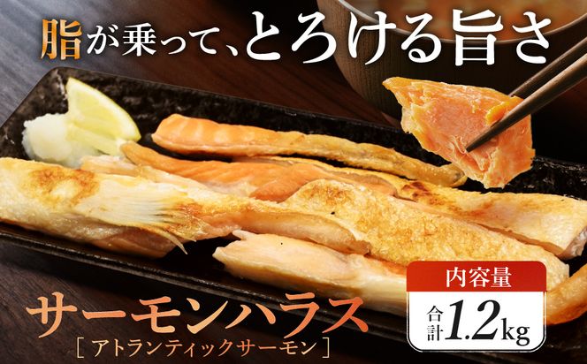 サーモン ハラス 1.2kg(200ｇ×6p) アトランティックサーモン 鮭 鮭はらす 大洗町 大洗 魚 さかな 魚介類 冷凍 工場直送 おかず おつまみ
