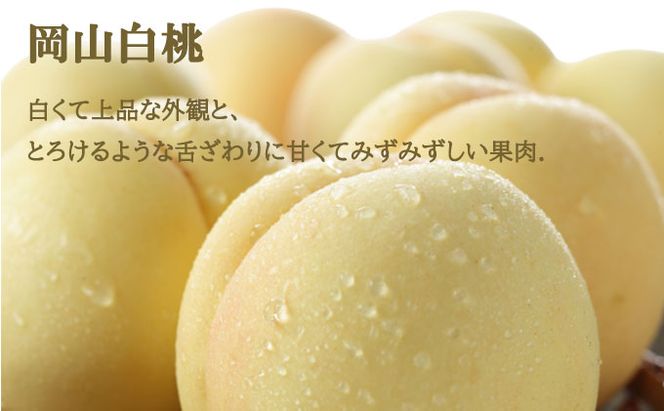 桃 ぶどう 2026年 先行予約 岡山 白桃 エース 2玉×約300g（3Lサイズ、早生種・中生種）シャイン マスカット 晴王 1房約600g  詰め合わせ 岡山県産 フルーツ 