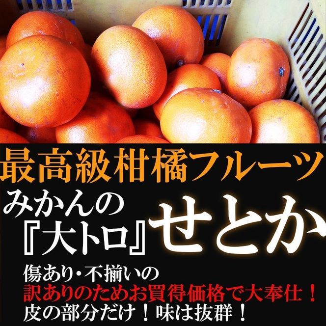 せとか みかんの大トロ 4kg 訳あり ブランド 和歌山 有田みかん 農家直送 オレンジ フルーツ 果物 CE044