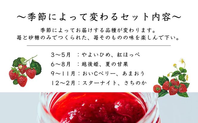 【MAISON DE FROUGE】季節の自家製いちごジャム 2種・各100g｜人気いちごスイーツ [ 苺スイーツ専門店 苺と砂糖のみで作られたジャム 果肉ごろごろ あまおう さちのか 紅ほっぺ おいCベリー おすすめ 手作りジャム ギフト プレゼント お取り寄せ 通販 送料無料 ふるさと納税 ] 261009_B-VV04