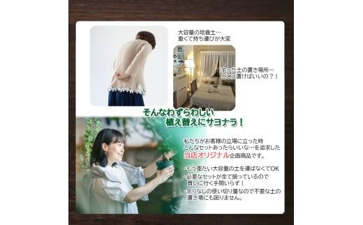 E105 培養土　【植え替え土セット】　観葉植物の土　6号