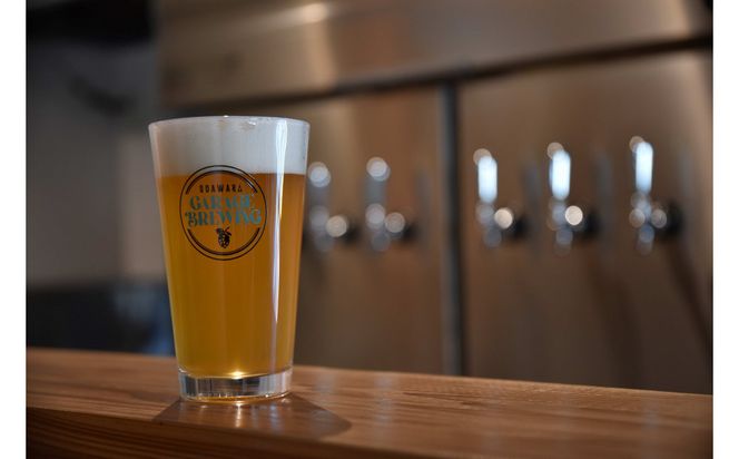 【ふるさと納税限定】TAPROOMでクラフトビール飲み放題！チケット 142069_HP005