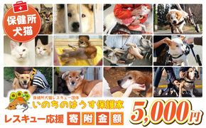 保健所犬猫レスキュー【返礼品なしのご寄附】犬 猫 保護 レスキュー 動物愛護 返礼品なし ペット 保護犬 保護猫 支援 応援 ボランティア_kn101-001