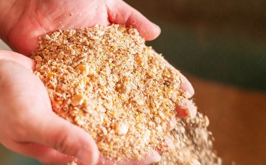 【自社農場和牛】富永和牛おうちで焼肉セット（国産 牛肉 和牛 赤身 霜降り 焼肉 BBQ 限定）