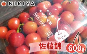 先行受付 北海道 仁木町産 さくらんぼ 佐藤錦 600g（300g×2）Lサイズ以上 ジューシー 旬のフルーツ 旬の果物 国産 日本産 サクランボ チェリー フルーツ 果物 果物類 ギフト 仁木町 [ジャパーナプランニング株式会社]