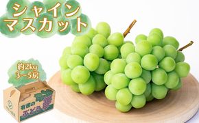シャインマスカット 約2kg（3～5房） CC45