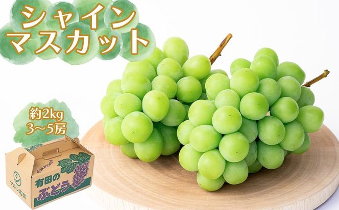 シャインマスカット 約2kg（3～5房） CC45