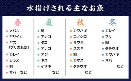 塩 にも こだわり 玄海 の 海 旬 の 干物 大満足 セット ( 5～6人 向け ) 《糸島》【福ふくの里】[ALD004] 干物 魚 魚介類 セット 冷凍 鯛 鯛 タイ サバ アジ スズキ