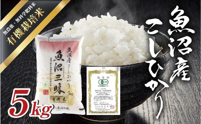 令和7年産 魚沼産 コシヒカリ 有機栽培米 5kg 米 こしひかり お米 コメ 新潟 魚沼 魚沼産 白米 送料無料 新潟県産 精米 産直 産地直送 有機栽培 お取り寄せ 魚沼三昧 川治米店 新潟県 十日町市 もちもち 
