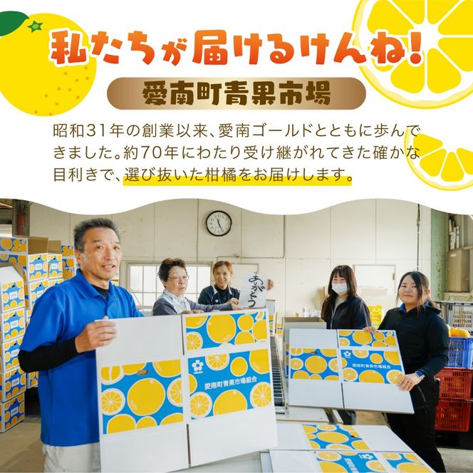 【訳あり】愛南ゴールド（河内晩柑）8kg | 柑橘 訳あり 詰め合わせ 家庭用 みかん かわちばんかん 果物 ジューシー ジュースみたいな果汁 鬼北町 愛南町 箱 送料無料 デザート ※北海道・沖縄・離島への配送不可 ※2026年4月上旬頃より順次発送予定