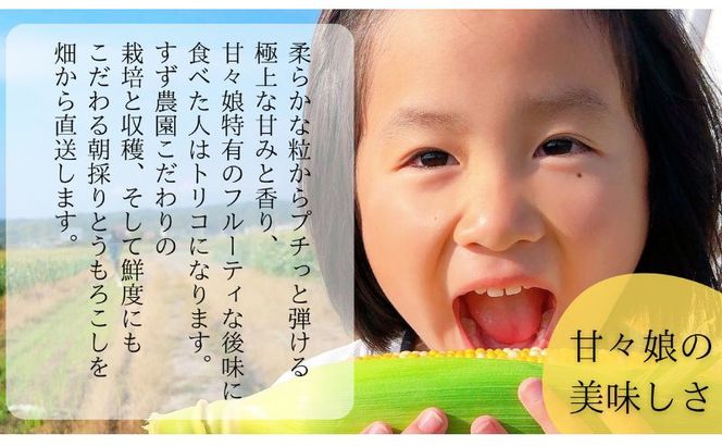 【先行予約】リピーター続出！とうもろこし【甘々娘】