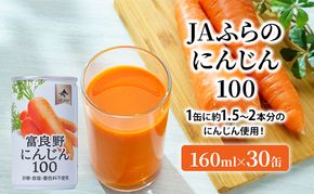 JAふらの 人参ジュース ［富良野にんじん100］(160ml×30缶セット) にんじんジュース 人参 にんじん 野菜 飲料 ジュース 野菜ジュース 野菜飲料 北海道 富良野 ふらの