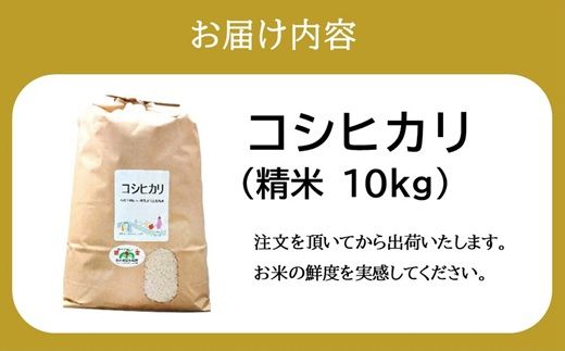 コシヒカリ＜特別栽培米＞精米 10㎏（減農薬 有機肥料 お米 米 おこめ こめ 白米 こしひかり 令和7年産）【002308C】