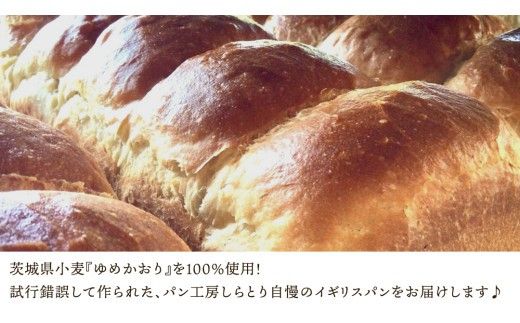 茨城県産 小麦の イギリスパン 2斤 2本 セット 食パン パン 小麦 冷凍 プレゼント ギフト [AU006ci]