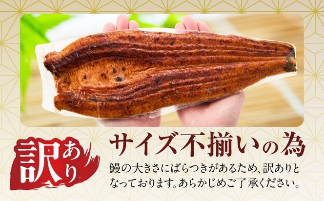 G3615d 【土用の丑の日までにお届け】うなぎ 蒲焼き 暴れ盛り 合計 600g【鰻 真空パック 簡単調理 訳あり サイズ不揃い 人気 惣菜 うな重 うな丼 ひつまぶし にも】