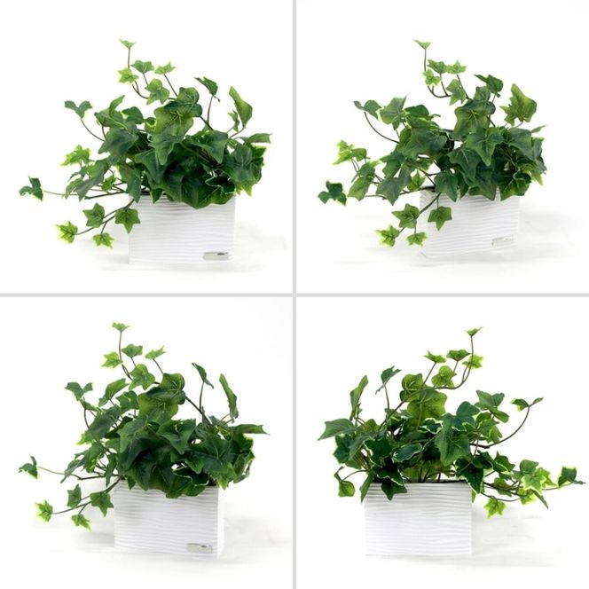 アートフラワー エミリオ・ロバ  アイビーS TTTTA-01070