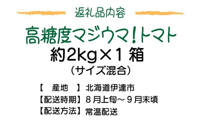 【2026年先行予約】北海道 伊達 岡本園芸 ミニトマト 高糖度 約2kg【マジウマ！トマト】