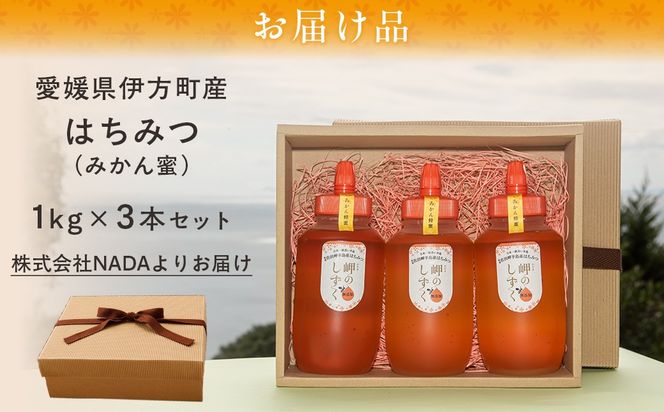 【みかん蜜】みかん農園のはちみつ 1kg×3本入 ※離島への配送不可 IKTC015
