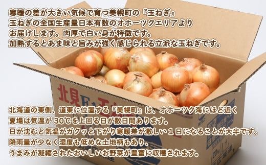 【令和8年産 先行予約】玉ねぎLサイズ・20kg（2026年10月上旬より順次発送） BHRG130