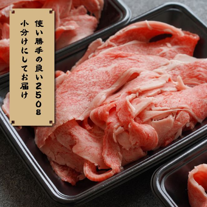 【定期便6ヶ月】淡路牛 贅沢切り落とし 1kg (250g×4PC)　[小分け 冷凍]