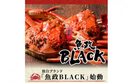 【蟹の匠 魚政】茹で　プレミアムズワイガニ 魚政BLACK（松葉ガニ・越前ガニ）特撰 特大サイズ（1200～1300g） 2匹セット　(11月～12月発送)　松葉蟹 蟹 かに カニ ガニ がに ボイル 海産物 甲殻類 海の幸 まるごと　UO01308