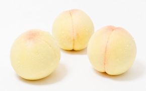 【2026年先行予約】 岡山県産 白皇 2kg 化粧箱入り・贈答用 高級 白桃 はくおう 花田青果【8月中旬～9月初旬まで順次発送予定】/ 桃 もも モモ 果物フルーツ 贈答品 贈り物 岡山県【hnds005】