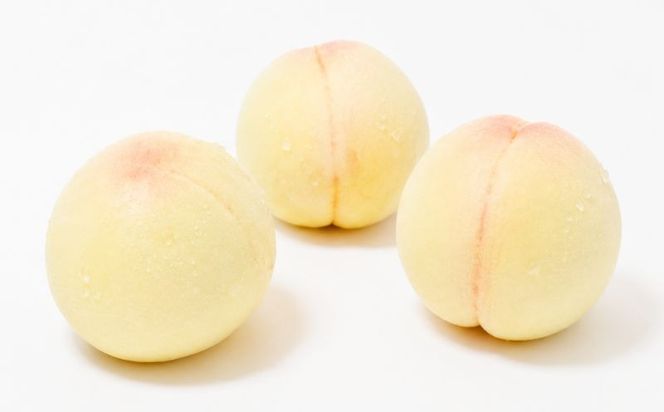 【2026年先行予約】 岡山県産 白皇 2kg 化粧箱入り・贈答用 高級 白桃 はくおう 花田青果【8月中旬～9月初旬まで順次発送予定】/ 桃 もも モモ 果物フルーツ 贈答品 贈り物 岡山県【hnds005】