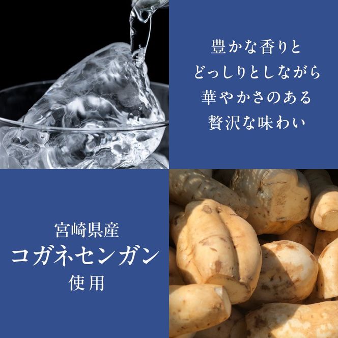 亮天【白麹原酒】 N076-YB347