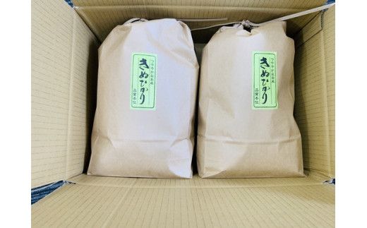 令和7年産　近江米　キヌヒカリ【10kg（5kg×2袋）】環境こだわり米【AB63W】
