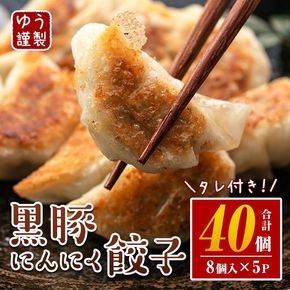 Z6-01 ＜2026年1月発送分(1月中に発送)＞黒豚にんにく餃子(計40個・8個入り×5P) 鹿児島 生餃子 ギョウザ 黒豚 豚肉 冷凍食品 おかず おつまみ 惣菜 小分け 焼くだけ 簡単調理 冷凍便 【工房ゆう】