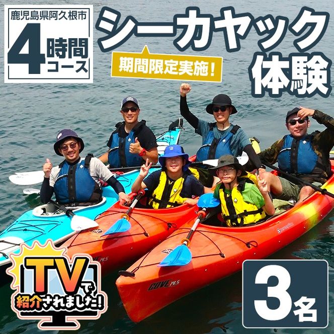 期間限定実施 シーカヤック体験チケット(4時間/3名) 阿久根 シーカヤック アウトドア アクティビティ 自然 体験 ツアー チケット マリンスポーツ【パズル】akn098-11