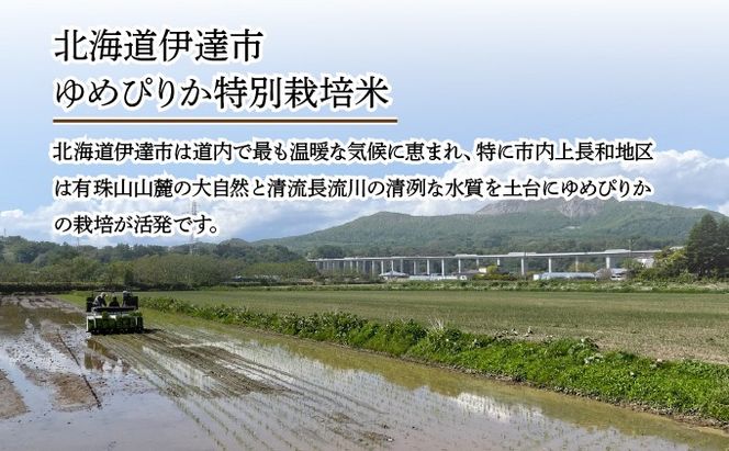 ＜先行予約＞【6回定期便】令和8年産 ゆめぴりか 精米 10kg｜生産者直送 北海道伊達産 北海道 ブランド米【tkk-018】