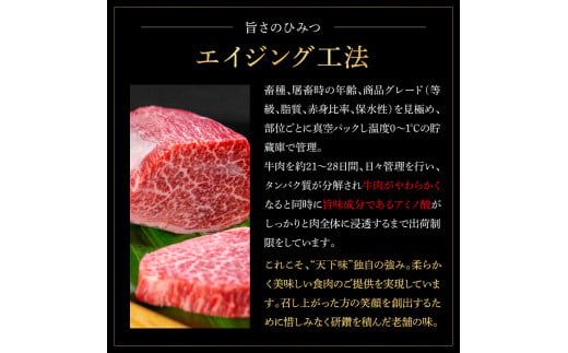 土佐和牛詰め合わせ6種 長期熟成肉 6種 詰め合わせ セット 田野屋銀象 完全天日塩付き 牛肉 肉 お肉 和牛 国産 牛 赤身 ヒレ カルビ ロース ブロック【株式会社LATERAL】 [BQAU063]