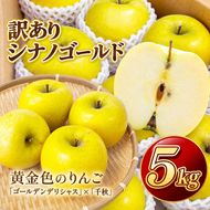 りんご シナノゴールド 令和8年11月上旬順次発送 信州のシナノゴールド 訳あり 約5キロ！ 信濃三兄弟の一つ（りんご・リンゴ・林檎）伊那市 長野県 信州【016-34】