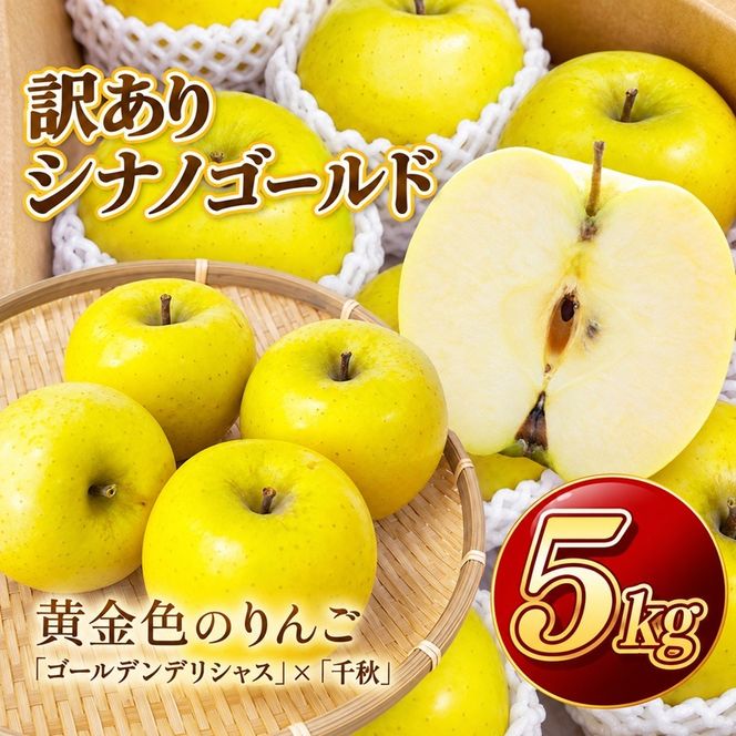 りんご シナノゴールド 令和8年11月上旬順次発送 信州のシナノゴールド 訳あり 約5キロ！ 信濃三兄弟の一つ（りんご・リンゴ・林檎）伊那市 長野県 信州【016-34】