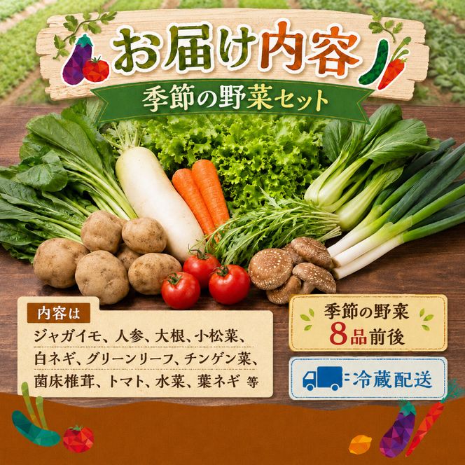 とれたて 野菜 パック 定期便 3回 季節の野菜 セット 詰め合わせ 8品前後 野菜セット 野菜詰め合わせ 3ヶ月 ジャガイモ 人参 大根 小松菜 白ネギ グリーンリーフ チンゲン菜 椎茸 トマト 水菜 葉ネギ 人気 厳選 静岡県