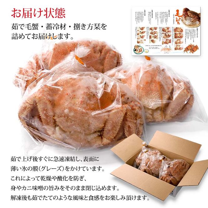毛ガニ 毛蟹 訳あり 2〜4匹 1.0kg セット 石川県産 茹で蟹 F6P-3033