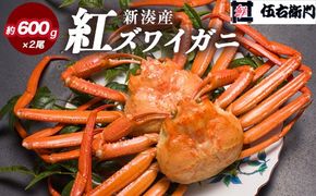 【伍右衛門】新湊産紅ズワイガニ約600g×2尾｜ずわい蟹 ずわいガニ ズワイガニ ※離島への配送不可 ※2025年10月上旬～2026年3月下旬頃 ※発送まで1か月以上かかる場合があります。