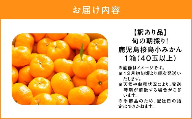 【訳あり品】旬の朝採り！鹿児島桜島小みかん 1箱　K343-003
