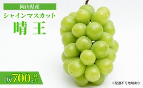 ぶどう 2026年 先行予約 シャイン マスカット 晴王 1房 700g以上 化粧箱入り マスカット ブドウ 葡萄  岡山県産 国産 フルーツ 果物 ギフト 高級ぶどう 大粒 種なし 贈答品 