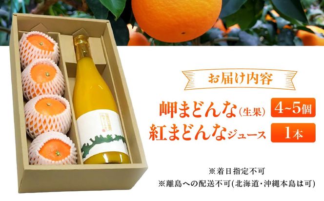 【先行予約】【数量限定】田縁農園の岬（はな）まどんな生果＆紅まどんなジュースセット （2026年12月10日より順次発送） IKTA004