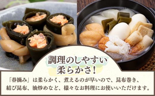 【北海道鹿部町産】白口浜真昆布 春摘み 100g（50g×2）