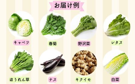 【期間限定】旬の野菜詰め合わせセット（中）(P-1.4)