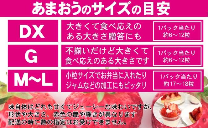 いちご あまおう 2L以上 約1.04kg（260g×4パック）配送不可 北海道 東北 沖縄 離島 