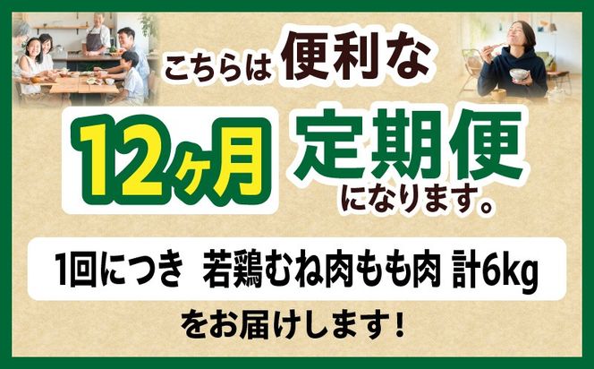 宮崎県産 若鶏切身 むね肉&もも肉 6kg（各300g×10袋）【12か月定期便】